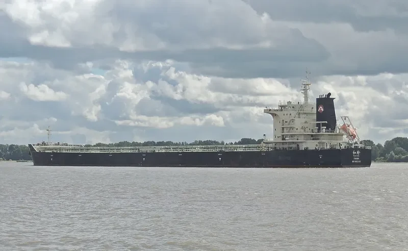 PEACE PEARL Bulk Carrier IMO 9663350 photo 7