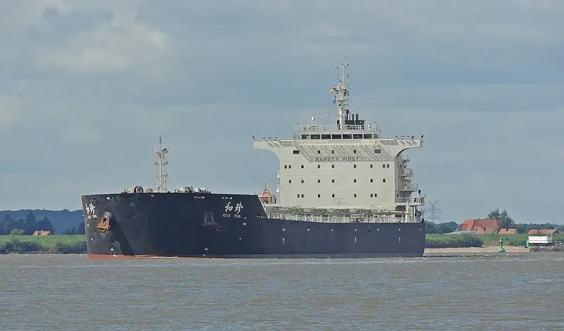 PEACE PEARL Bulk Carrier IMO 9663350 photo 8