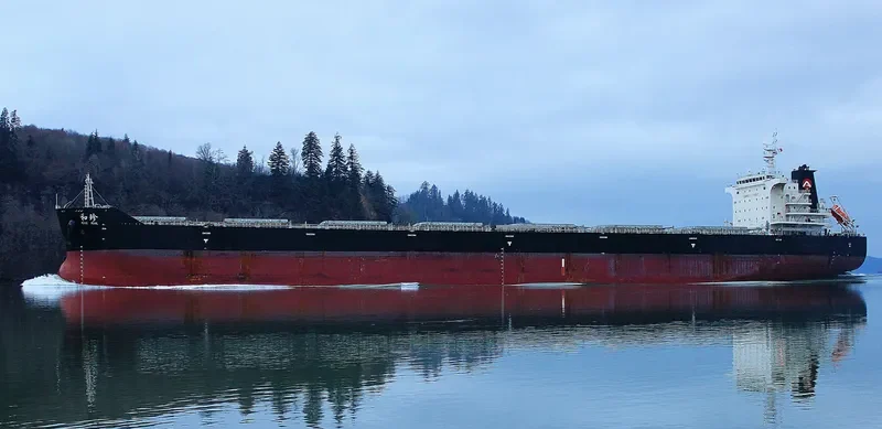 PEACE PEARL Bulk Carrier IMO 9663350 photo 9