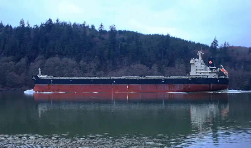 PEACE PEARL Bulk Carrier IMO 9663350 photo 10