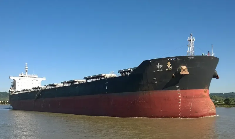 AGRI BRIGHT Bulk Carrier IMO 9663362 photo 2