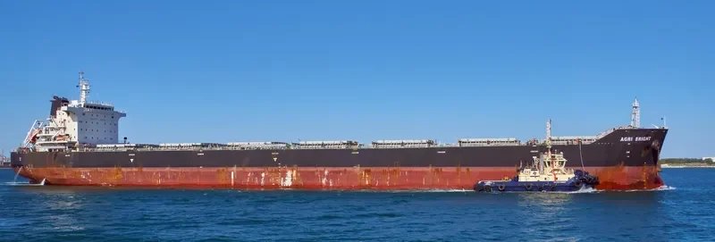 AGRI BRIGHT Bulk Carrier IMO 9663362 photo 3