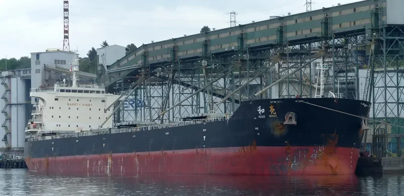 AGRI BRIGHT Bulk Carrier IMO 9663362 photo 4