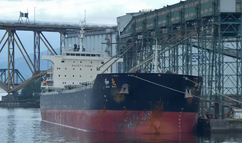 AGRI BRIGHT Bulk Carrier IMO 9663362 photo 5