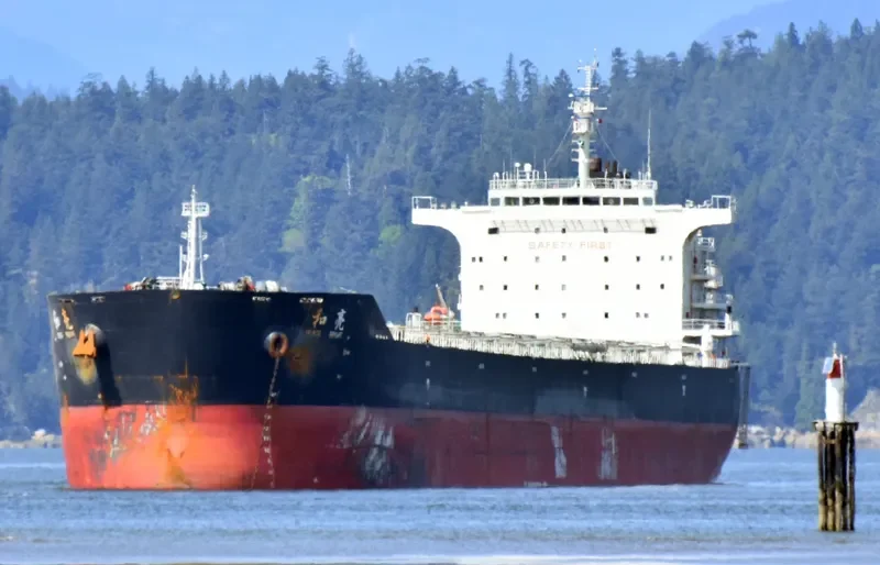AGRI BRIGHT Bulk Carrier IMO 9663362 photo 6