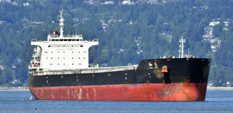 AGRI BRIGHT Bulk Carrier IMO 9663362 photo 7