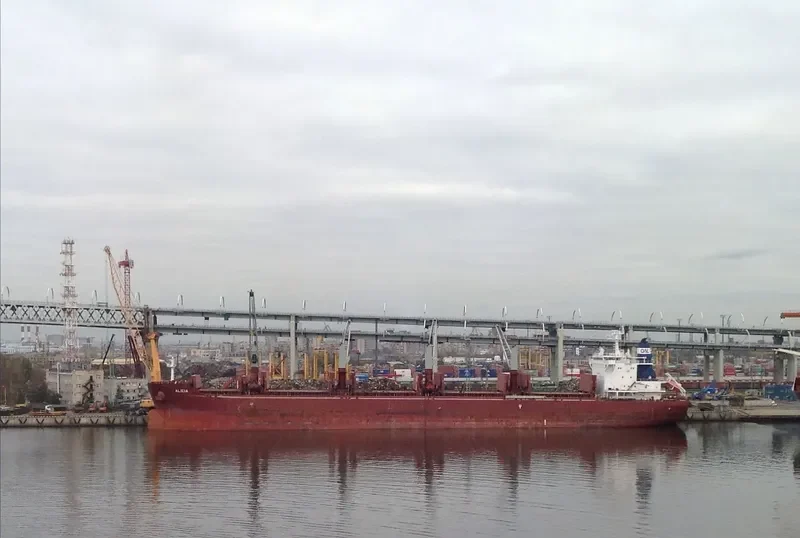 ALICIA Bulk Carrier IMO 9663623