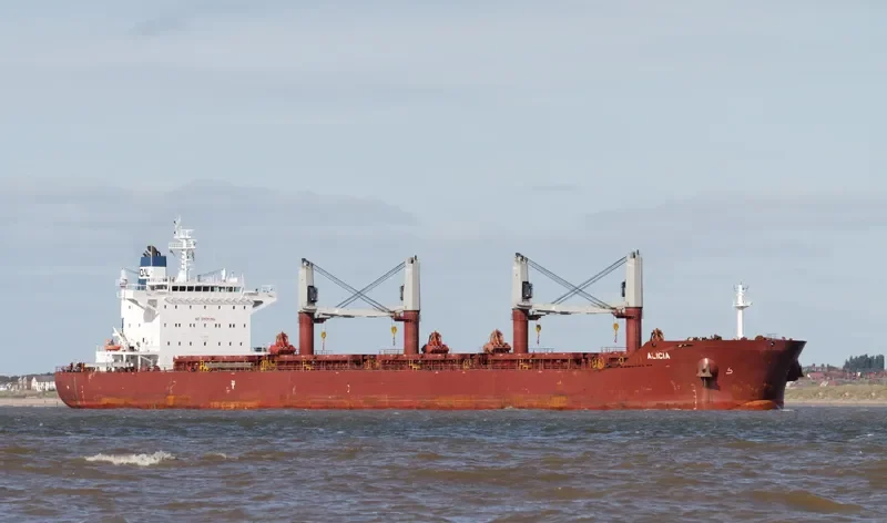 ALICIA Bulk Carrier IMO 9663623 photo 2