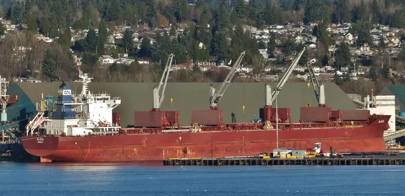 ALICIA Bulk Carrier IMO 9663623 photo 3