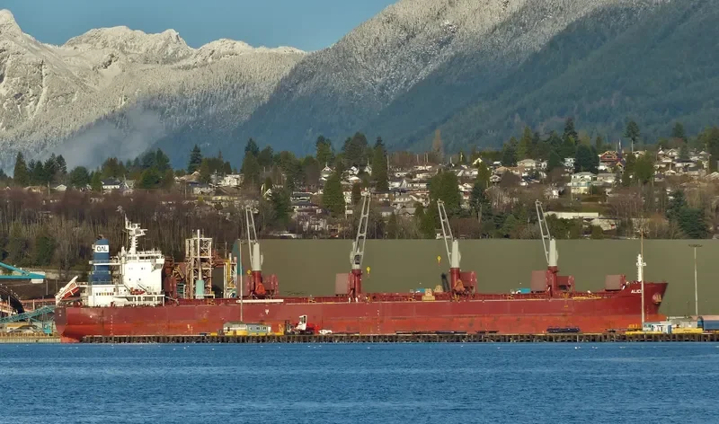 ALICIA Bulk Carrier IMO 9663623 photo 4