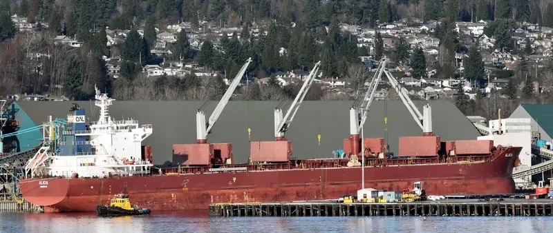 ALICIA Bulk Carrier IMO 9663623 photo 5