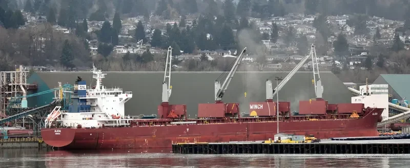 ALICIA Bulk Carrier IMO 9663623 photo 6