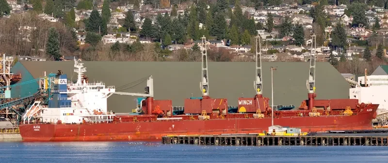 ALICIA Bulk Carrier IMO 9663623 photo 7