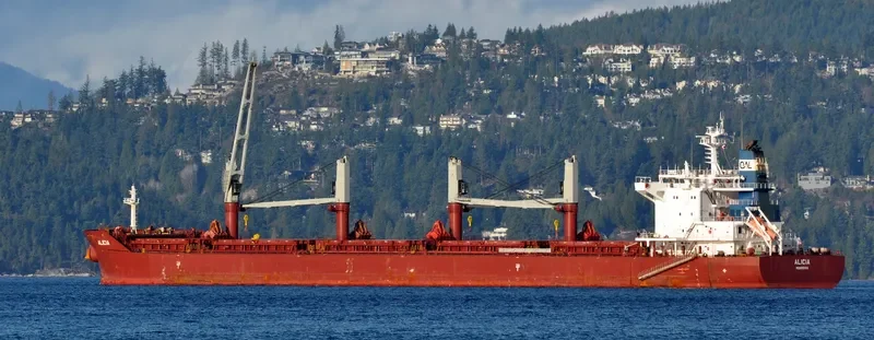 ALICIA Bulk Carrier IMO 9663623 photo 8