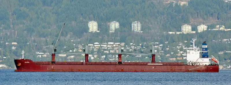 ALICIA Bulk Carrier IMO 9663623 photo 9
