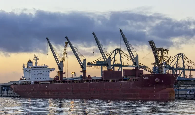 ALICIA Bulk Carrier IMO 9663623 photo 10