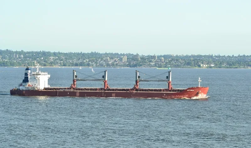 ASTORIA Bulk Carrier IMO 9663635 photo 6