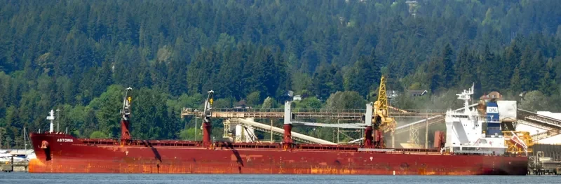 ASTORIA Bulk Carrier IMO 9663635 photo 7