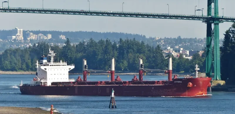 ASTORIA Bulk Carrier IMO 9663635 photo 8