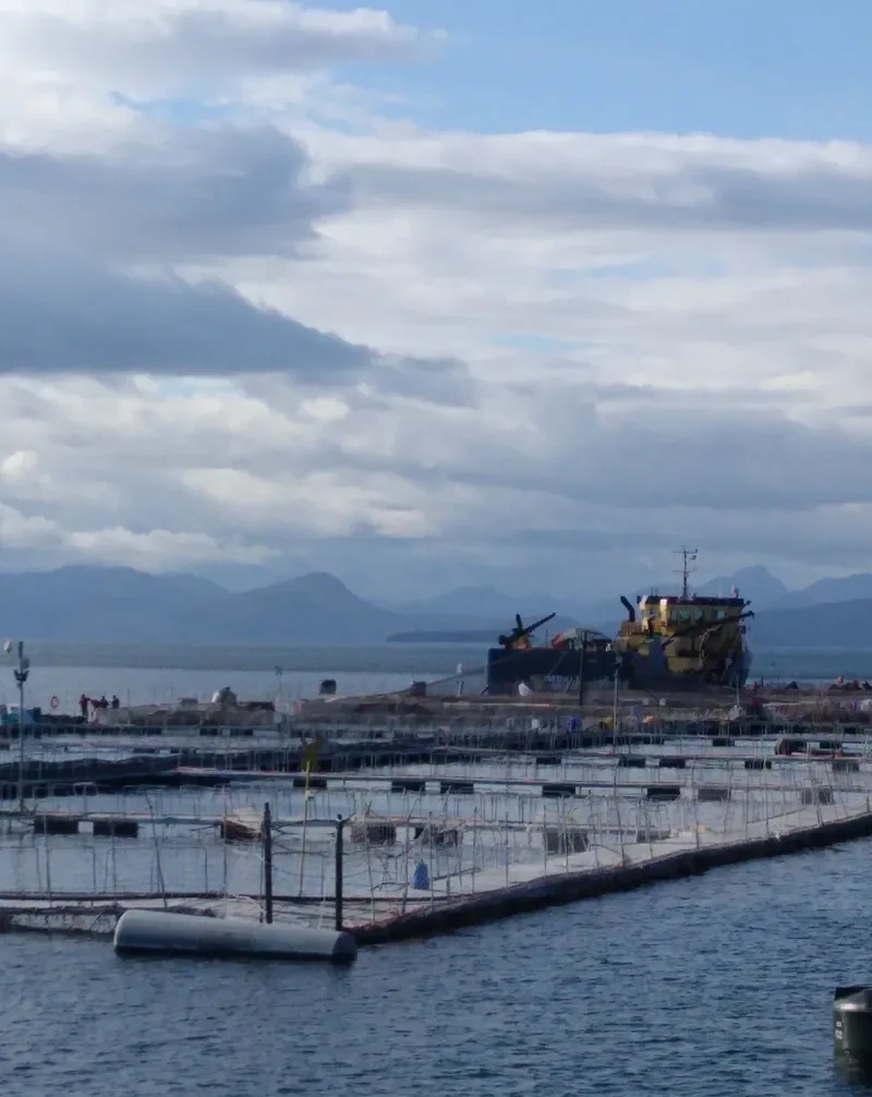 HEIMDALL General Cargo IMO 9663673 photo 7