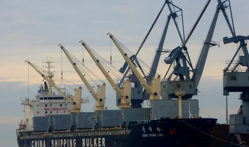 QING FENG LING Bulk Carrier IMO 9663702