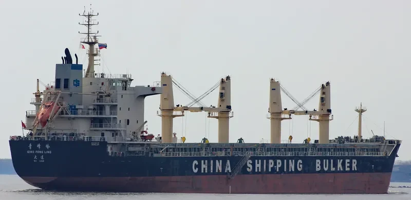 QING FENG LING Bulk Carrier IMO 9663702 photo 3