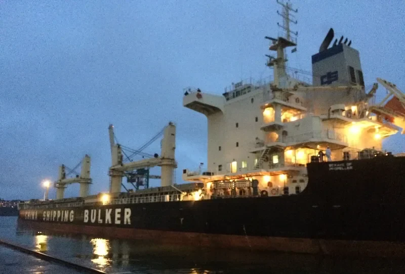 QING FENG LING Bulk Carrier IMO 9663702 photo 7