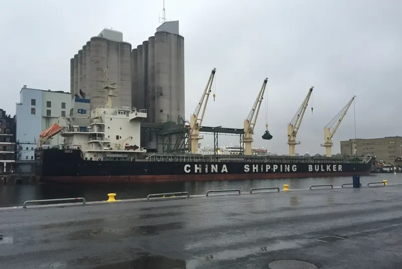QING FENG LING Bulk Carrier IMO 9663702 photo 8