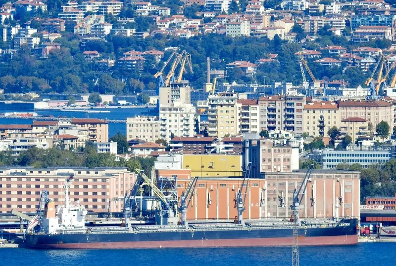 AMBER LAGOON Bulk Carrier IMO 9663738