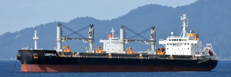 AMBER LAGOON Bulk Carrier IMO 9663738 photo 2