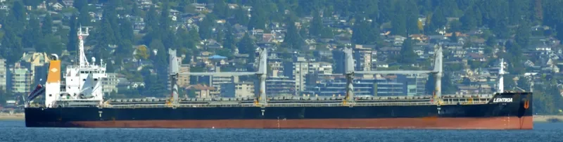 AMBER LAGOON Bulk Carrier IMO 9663738 photo 3