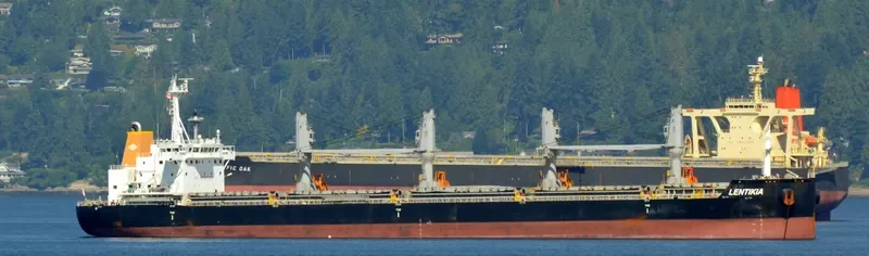 AMBER LAGOON Bulk Carrier IMO 9663738 photo 4