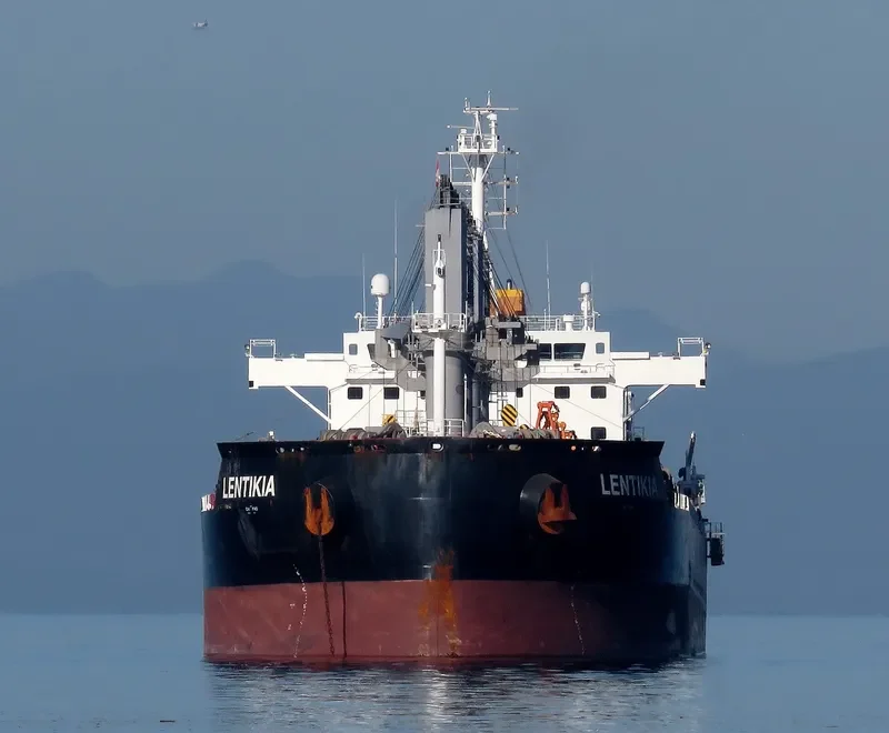AMBER LAGOON Bulk Carrier IMO 9663738 photo 5