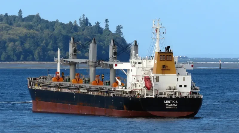 AMBER LAGOON Bulk Carrier IMO 9663738 photo 6