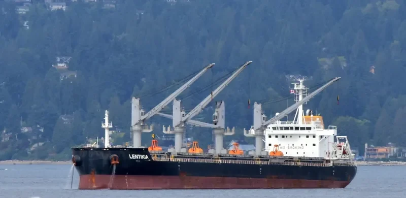 AMBER LAGOON Bulk Carrier IMO 9663738 photo 7