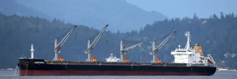 AMBER LAGOON Bulk Carrier IMO 9663738 photo 8