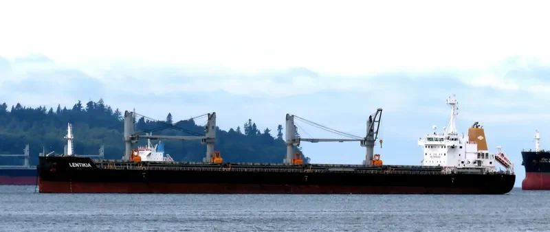 AMBER LAGOON Bulk Carrier IMO 9663738 photo 9
