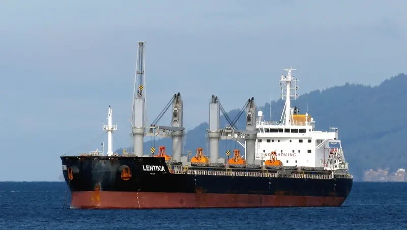 AMBER LAGOON Bulk Carrier IMO 9663738 photo 10
