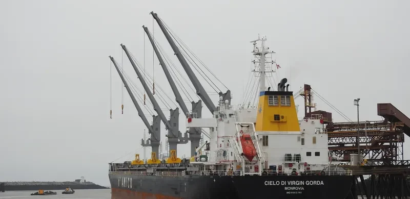 CIELO DI VIRGIN GORDA Bulk Carrier IMO 9663740