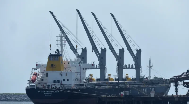 CIELO DI VIRGIN GORDA Bulk Carrier IMO 9663740 photo 2