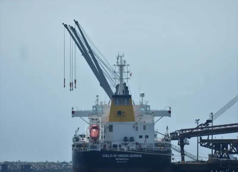 CIELO DI VIRGIN GORDA Bulk Carrier IMO 9663740 photo 3