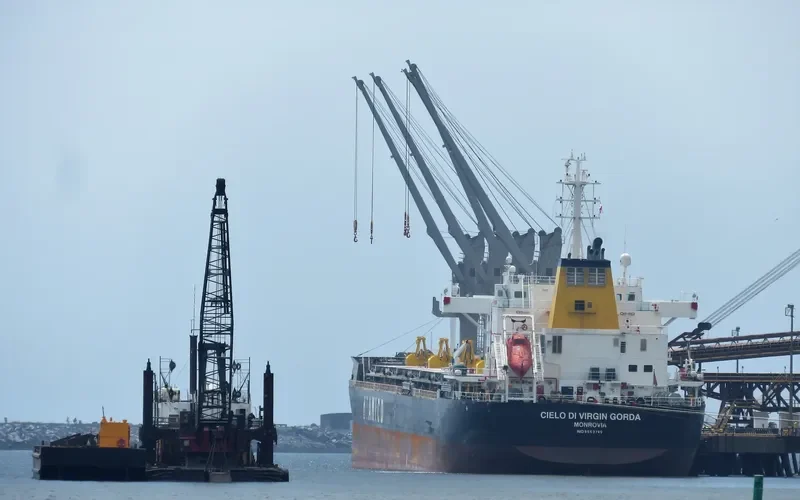CIELO DI VIRGIN GORDA Bulk Carrier IMO 9663740 photo 4