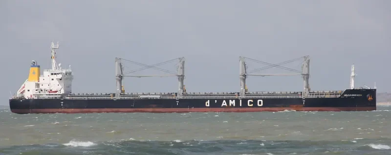 CIELO DI VIRGIN GORDA Bulk Carrier IMO 9663740 photo 5