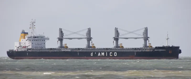CIELO DI VIRGIN GORDA Bulk Carrier IMO 9663740 photo 6