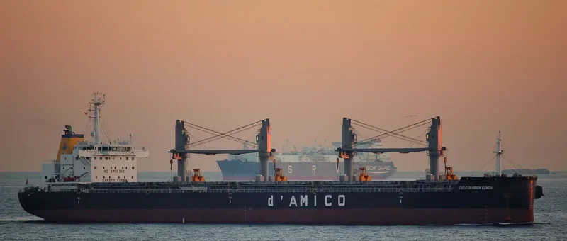 CIELO DI VIRGIN GORDA Bulk Carrier IMO 9663740 photo 9