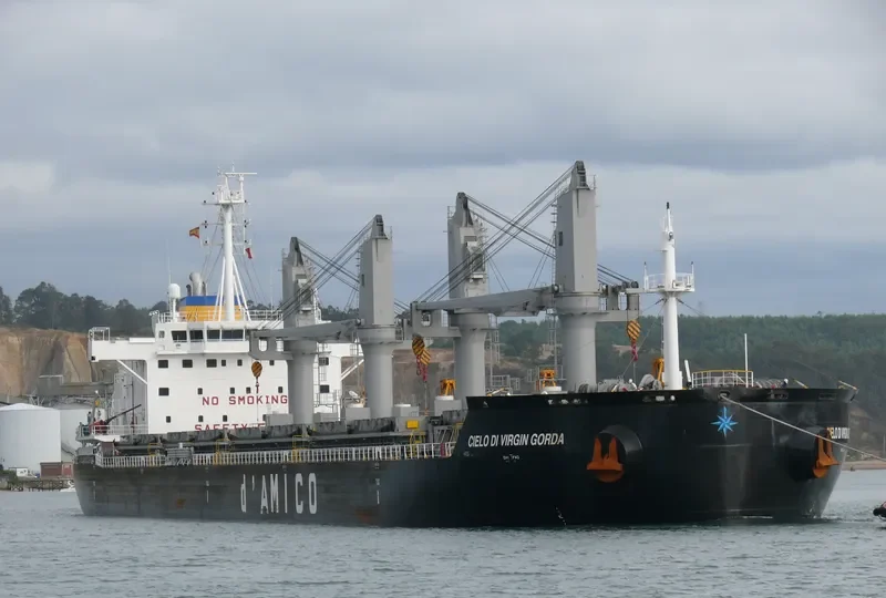 CIELO DI VIRGIN GORDA Bulk Carrier IMO 9663740 photo 10