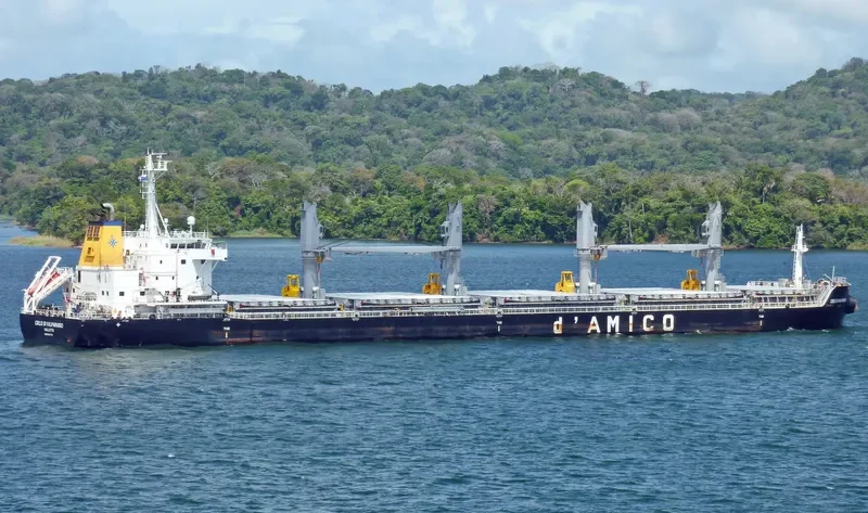CIELO DI VALPARAISO Bulk Carrier IMO 9663776