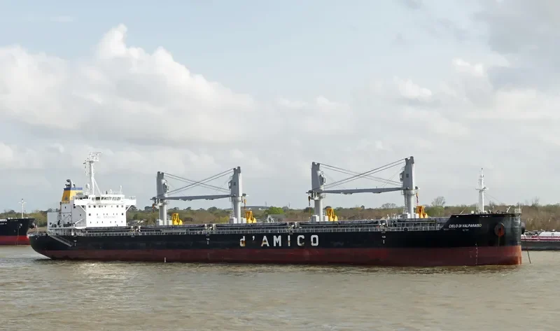 CIELO DI VALPARAISO Bulk Carrier IMO 9663776 photo 2