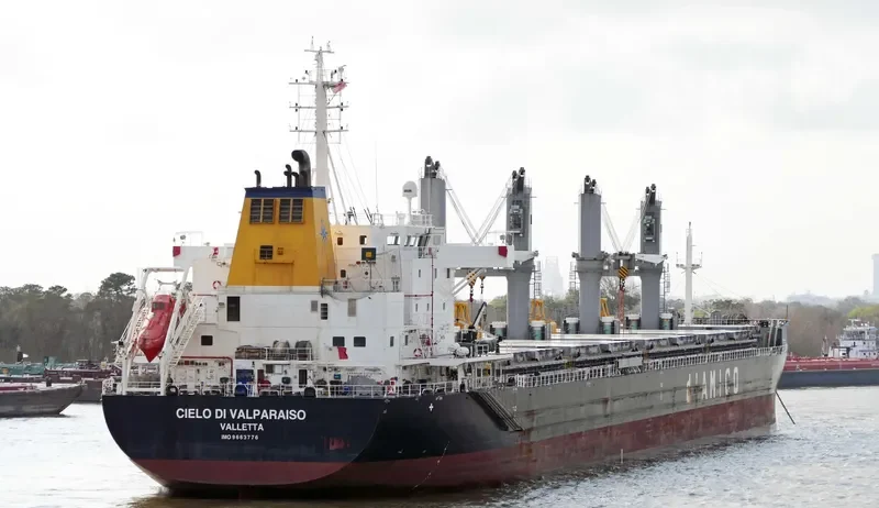 CIELO DI VALPARAISO Bulk Carrier IMO 9663776 photo 3