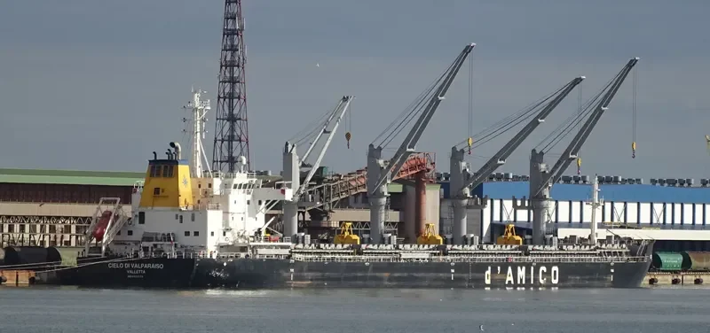 CIELO DI VALPARAISO Bulk Carrier IMO 9663776 photo 6